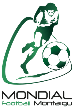 بطولة مونتيجو تحت 16 عام