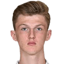 دانييل كولينجي