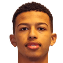 جويل بيرهان