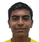 خافيير كاسياس ألافيز