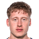 هيلمير رافن ميكايلسون