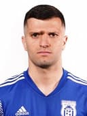 ديان بوليفيتش