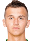 رومان باسيفيتش