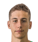 فيت نوفوتني