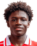 جانواه ماركيلو