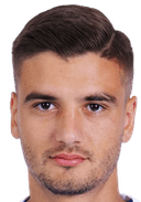 ड्रैगॉस नेडेलकु