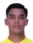 تيغوه أميرودين