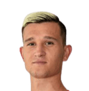 دانييل شتيفوليج