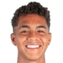 ديفيد ليوناردي