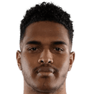 रयान रावेलोसन