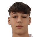 فلادان تسارابيتش