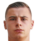 غابرييل فيدوفيتش