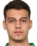 मित्जा क्रिजन