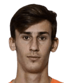 كارلو كرالج