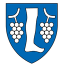 বোসোনোহি