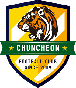 تشانشيون سيتيزن