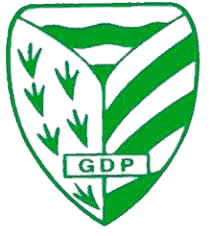 जीडी पेलारिगा अंडर 19