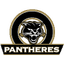 पैंथर्स