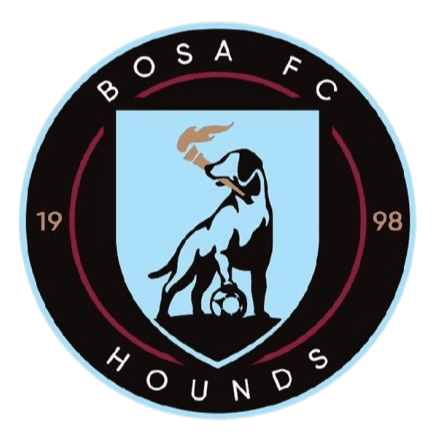 बोसा एससी