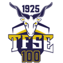 টিএফএসই বুদাপেস্ট