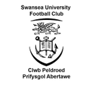 جامعة سوانسي