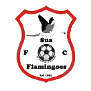 सुआ फ्लेमिंगोज़