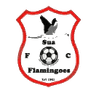 सुआ फ्लेमिंगोज़