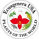 इक्वागेनेरा