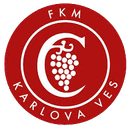 कार्लोवा वेस अंडर 19