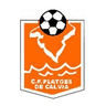 सीएफ प्लेट्जेस दे काल्विया