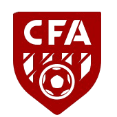 हिंगगन लीग टीम