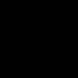 ম্যানচেস্টার লেসেস (মহিলা)