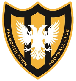 ফালমাউথ টাউন এএফসি