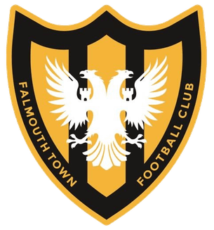 ফালমাউথ টাউন এএফসি