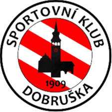 टीजे डोब्रुस्का