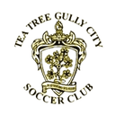 टी ट्री गुल्ली सिटी