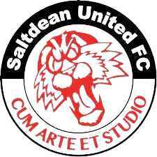 साल्टडीन यूनाइटेड महिला