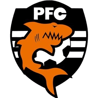 পুনতারেনাস ইউ১৯