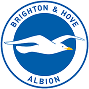 Brighton&Hove Albion