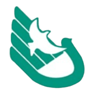 South China Normal University High School U13