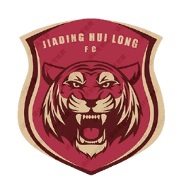 শাংহাই জিয়াডিং হুইলং ইউ১৫