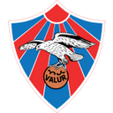 ভালুর রেইকযাভিক