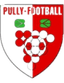 पुल्ली फुटबॉल