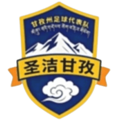 গাঞ্জি টিম