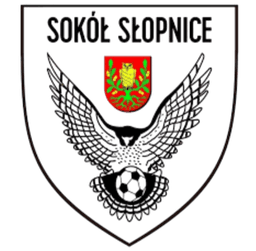 সোকল স্লোপনিসে