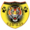 माइटी टाइगर्स