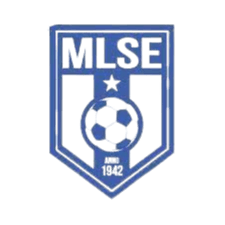 মার্টফুই এলএসই