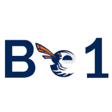 बीई1 एनएफए