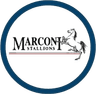 मारकोनी स्टैलियंस
