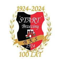 স্টার্ট ব্রজেজিনি